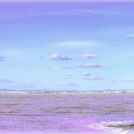 公寓 Naufragos Beach 托雷维耶哈
